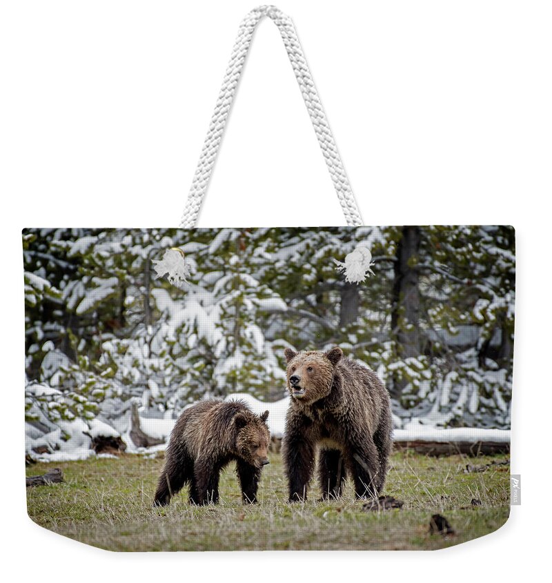 Bears Weekender Tote Bag featuring the photograph Two Grizzly Bears by Scott Read