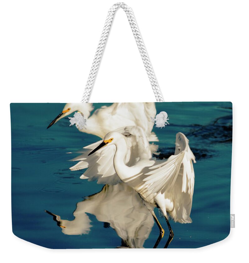 Wildlife Weekender Tote Bag featuring the photograph Two in Tandem by Brian Tada