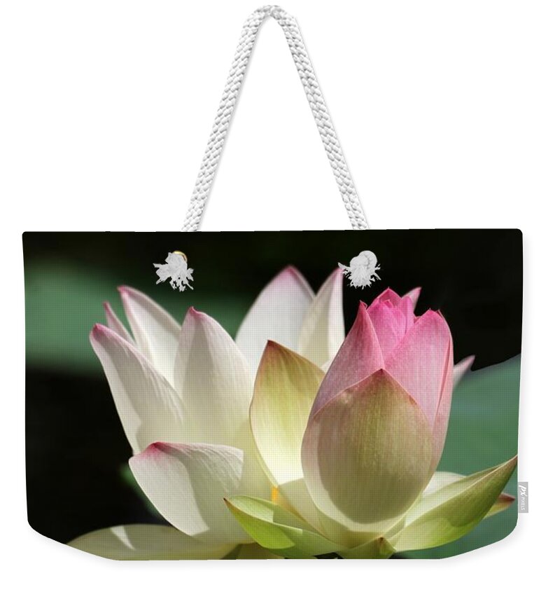 Lotus Weekender Tote Bag featuring the photograph Two Lotus Flowers by Sabrina L Ryan
