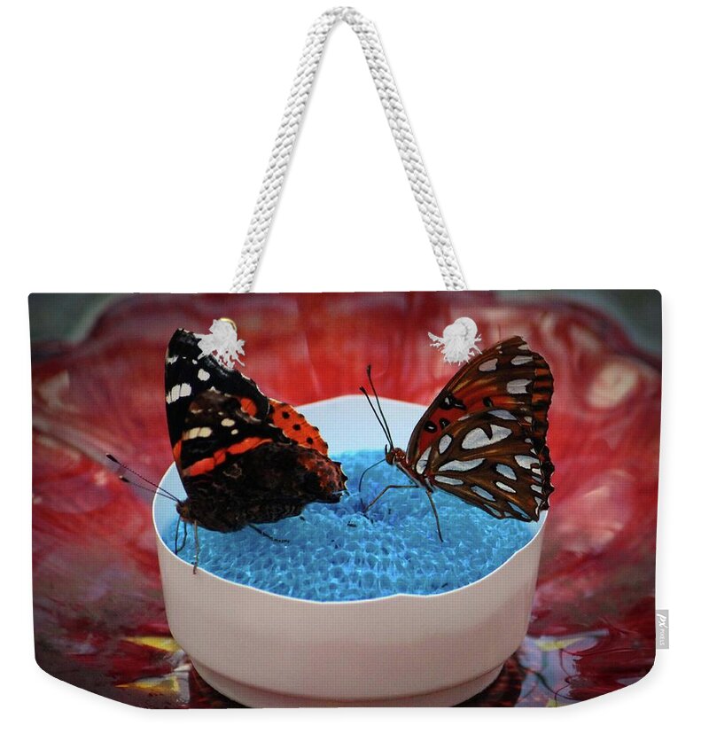 Butterfly Weekender Tote Bag featuring the photograph Two Lovely Butterflies by Cynthia Guinn