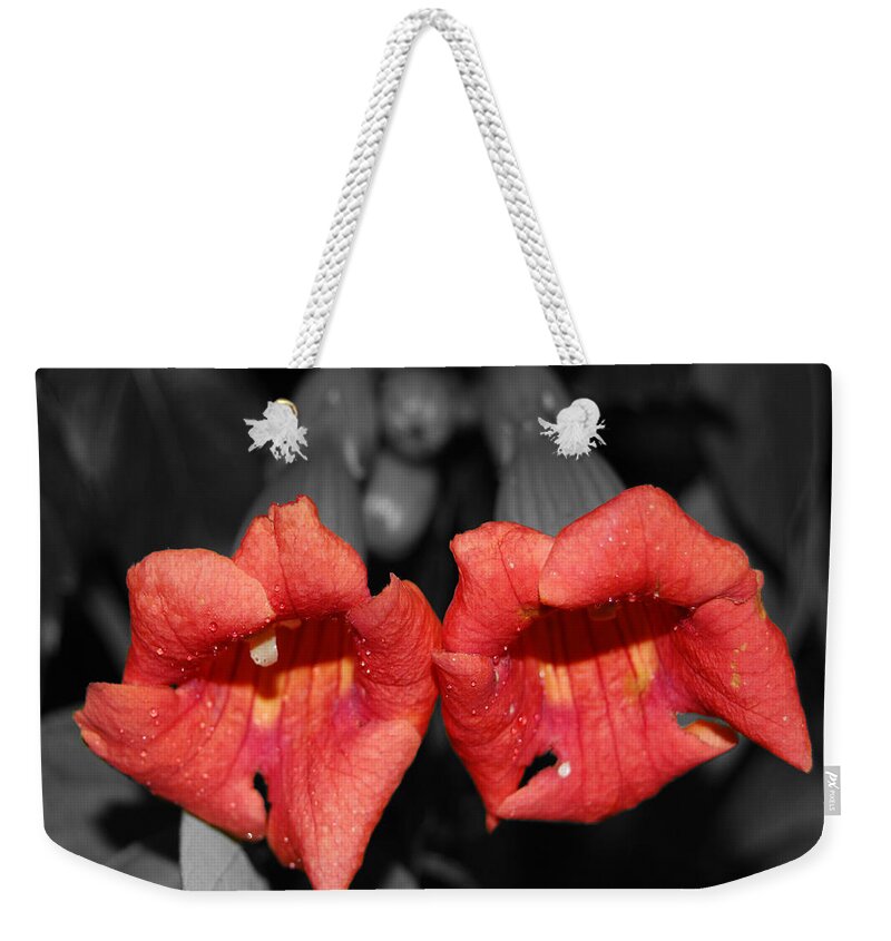 Petal Weekender Tote Bag featuring the photograph Two of Hearts by Maggy Marsh