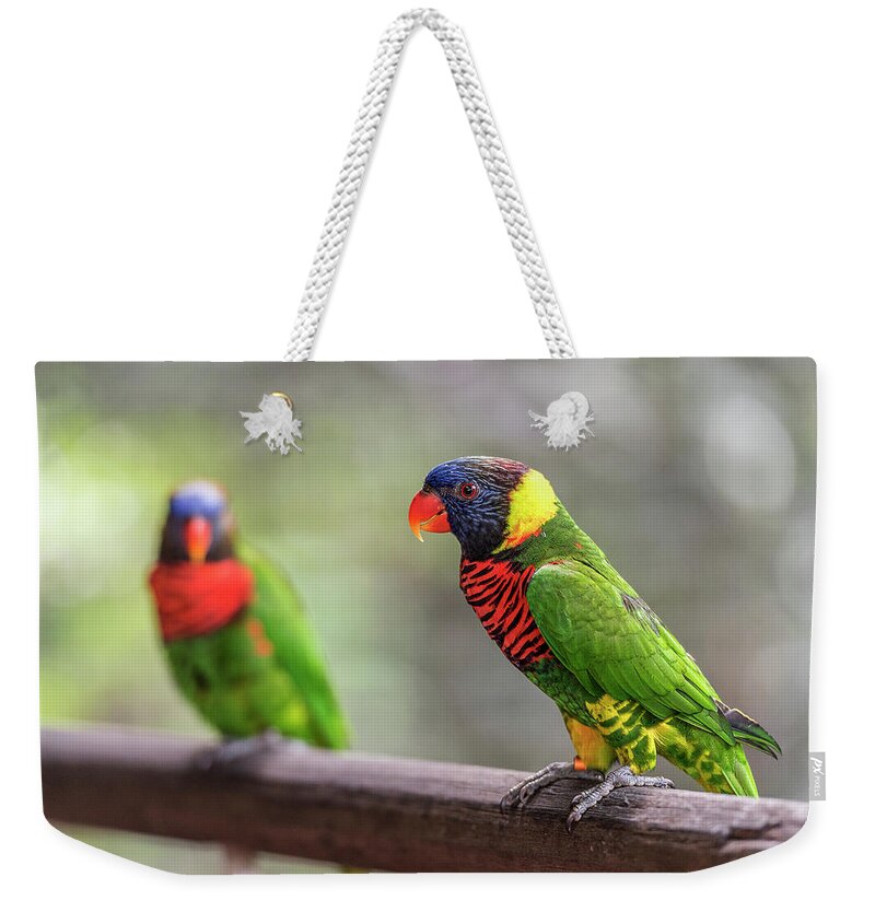 Nature Weekender Tote Bag featuring the photograph Two parrots by Pradeep Raja Prints