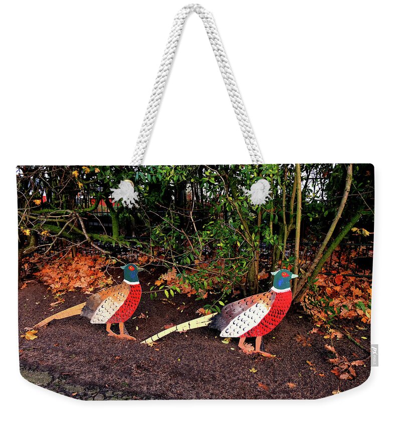 Creativity Weekender Tote Bag featuring the photograph Two pheasants on the sidelines by Marina Usmanskaya