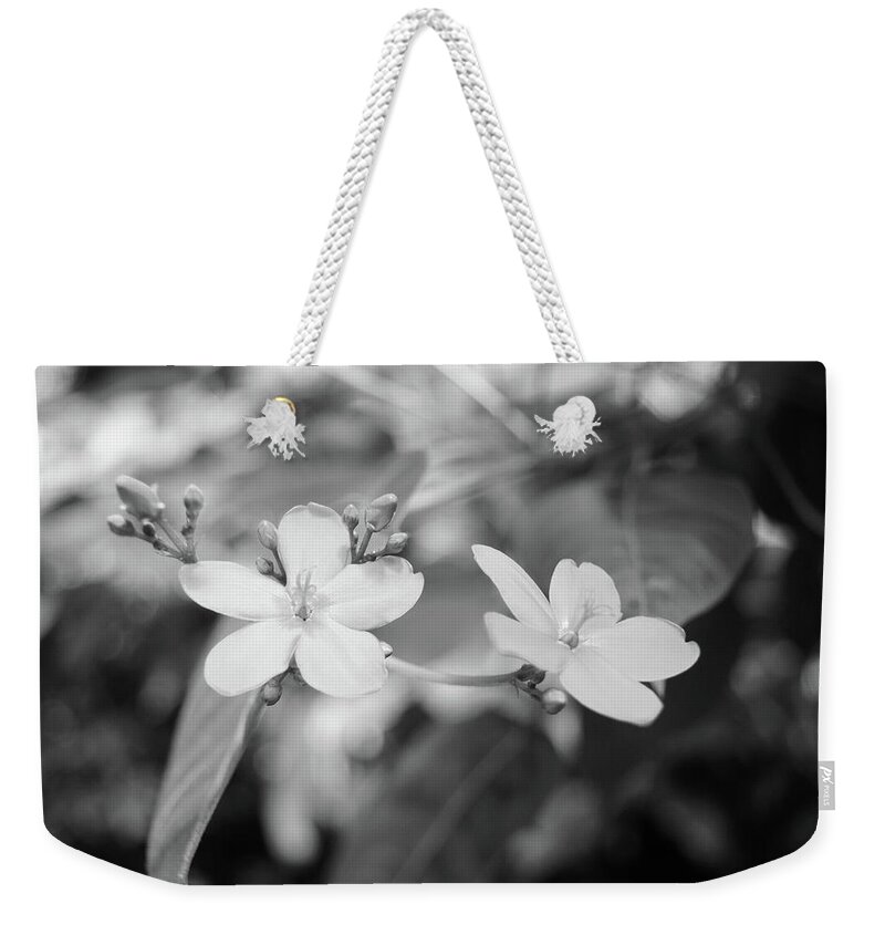 Two Pink Flowers Weekender Tote Bag featuring the photograph Two Pink Flowers No. 1-1 by Sandy Taylor