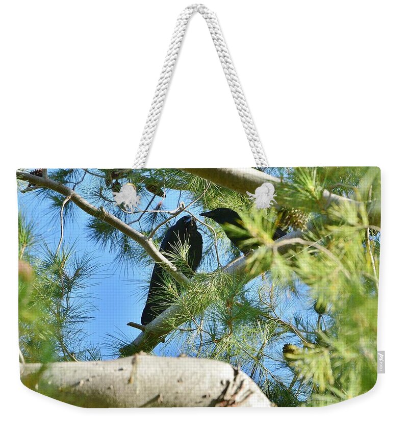 Linda Brody Weekender Tote Bag featuring the photograph Two Ravens by Linda Brody