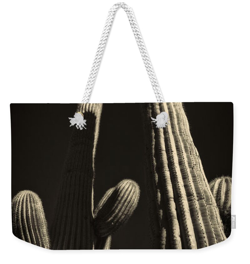Arizona Weekender Tote Bag featuring the photograph Two Tall Saguaros by Roger Passman