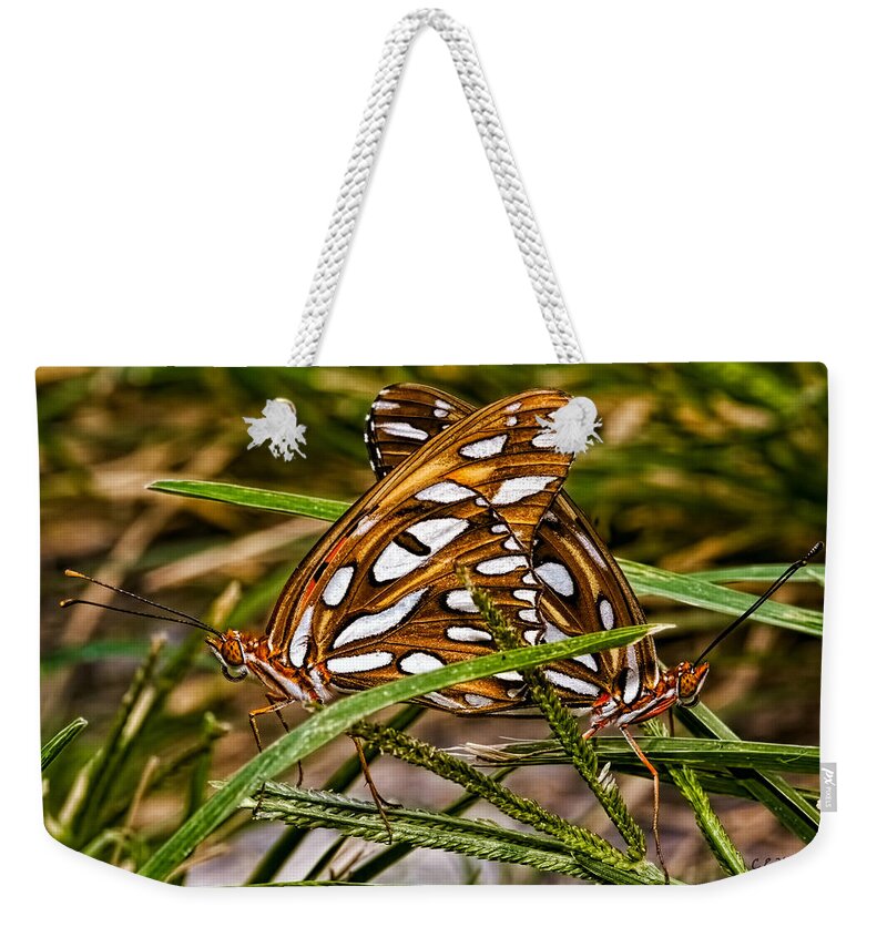 Photograph Weekender Tote Bag featuring the photograph Two To Tango by Christopher Holmes