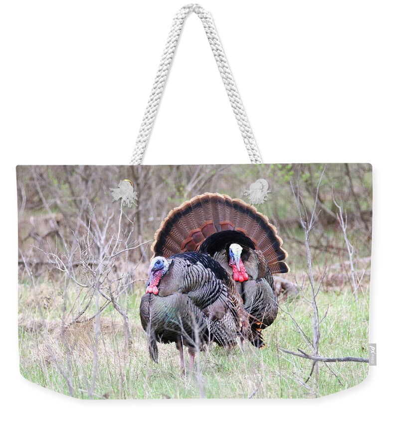 Wild Weekender Tote Bag featuring the photograph Two Toms by Brook Burling