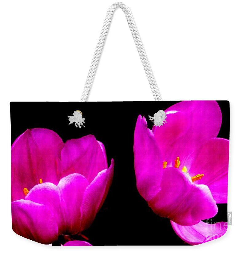 Two Tulips Weekender Tote Bag featuring the photograph Two Tulips by Tim Townsend