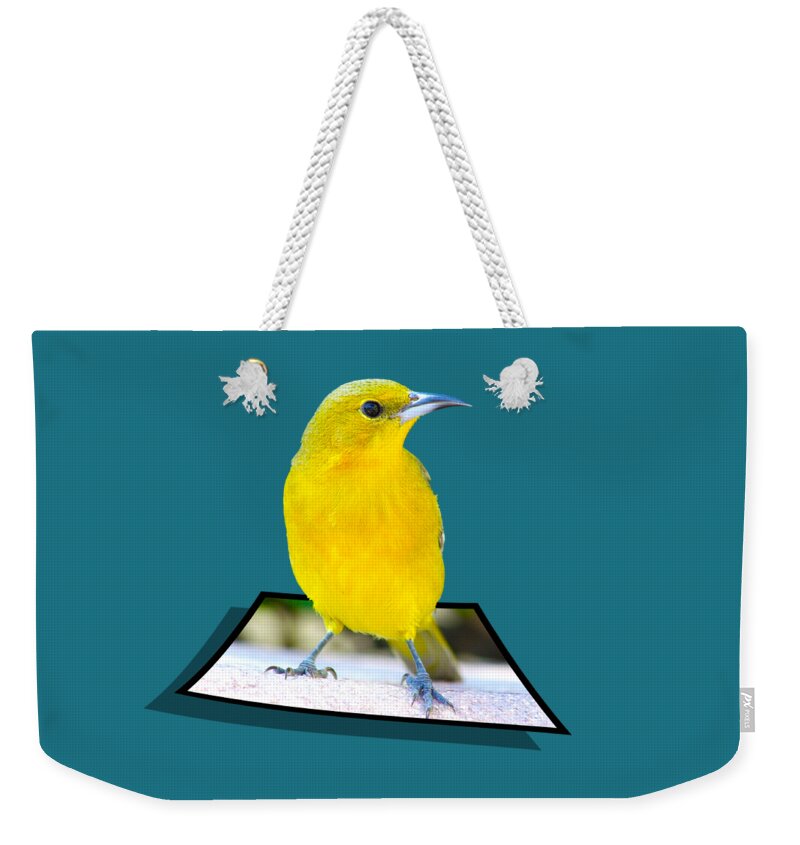 Amakahi Weekender Tote Bag featuring the photograph Two Worlds by Shane Bechler