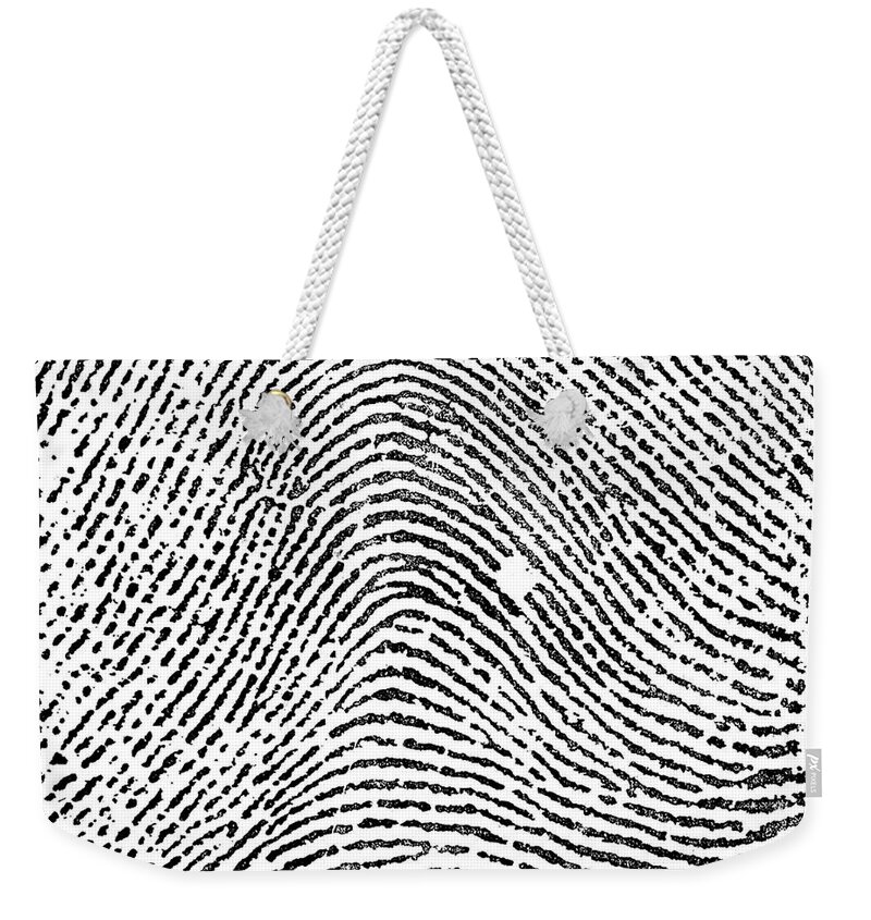 Science Weekender Tote Bag featuring the photograph Typical Arch Pattern, 1900 by Science Source