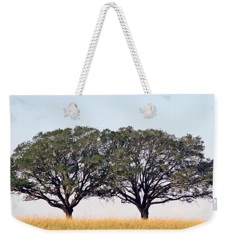 Texas Weekender Tote Bag featuring the photograph US Route 90 by Kerry Beverly