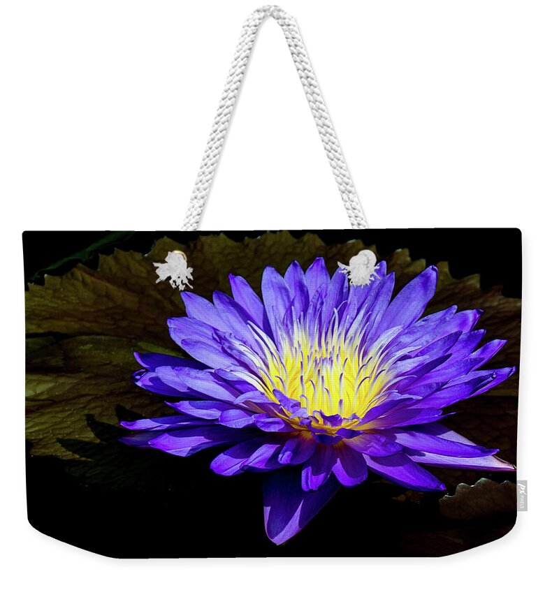 Waterlily Weekender Tote Bag featuring the photograph Ultra Violet Tropical Waterlily by Julie Palencia