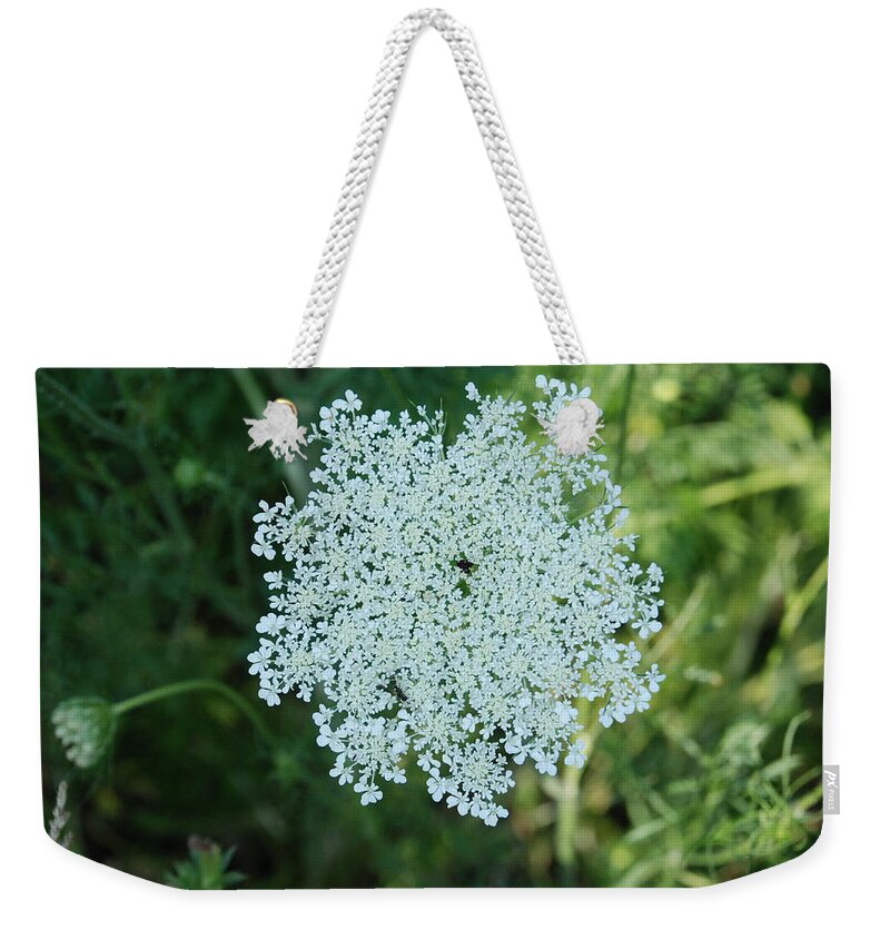 Small White Flower Clusters Weekender Tote Bag featuring the photograph Umbel Flower 2 by Ee Photography