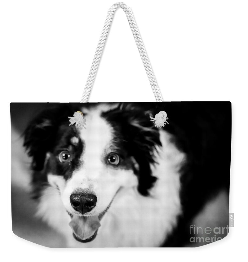 Love Weekender Tote Bag featuring the photograph Unconditional Love by Lynn Sprowl