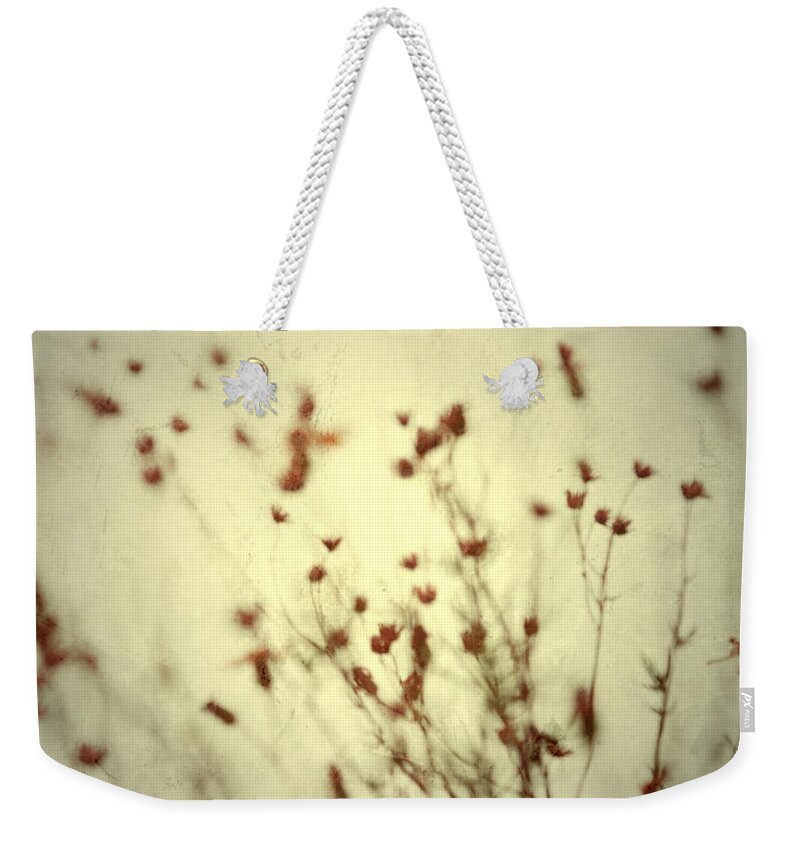  Weekender Tote Bag featuring the photograph Undefined by Mark Ross