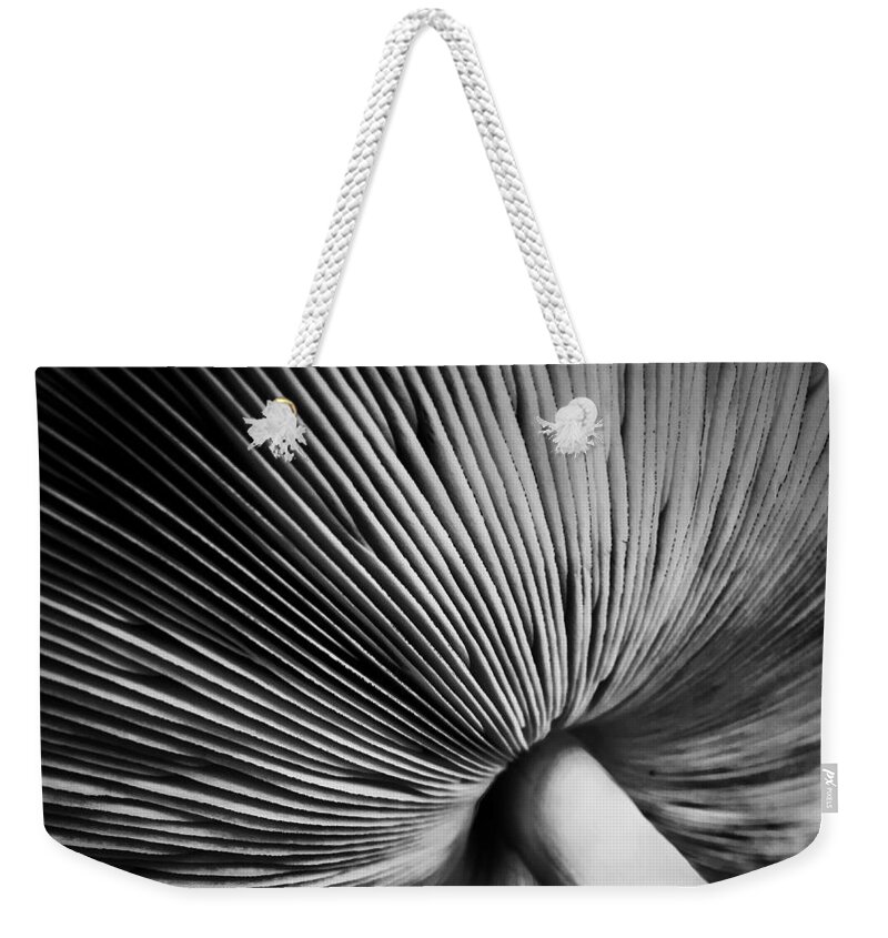 Landscape Weekender Tote Bag featuring the photograph Under a Mushroom by Nathan Little