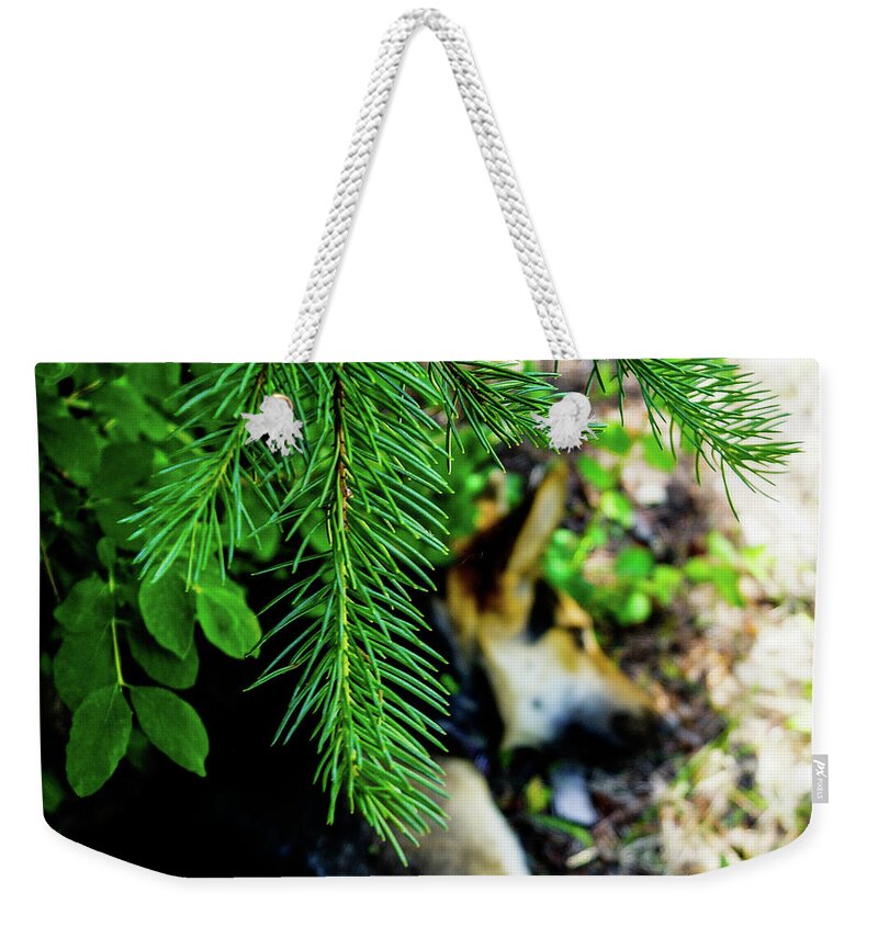 Pine Weekender Tote Bag featuring the photograph Under the Evergreen by Tim Dussault