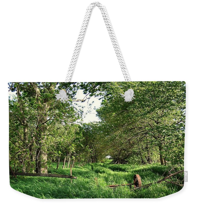Nature Weekender Tote Bag featuring the photograph Undergrowth by Dylan Punke