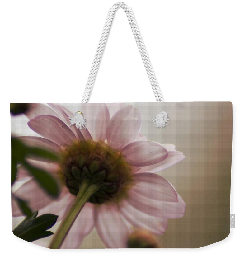 Landscape Weekender Tote Bag featuring the photograph Underneath A Flower by Eskemida Pictures