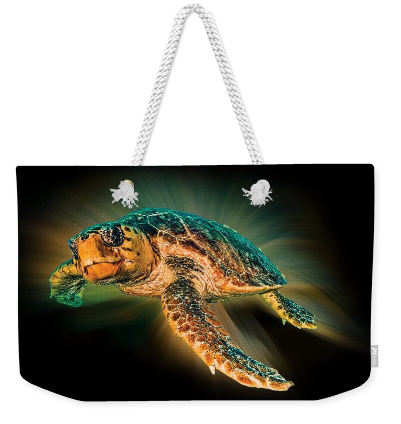 Turtle Weekender Tote Bag featuring the photograph Undersea Turtle by Debra and Dave Vanderlaan