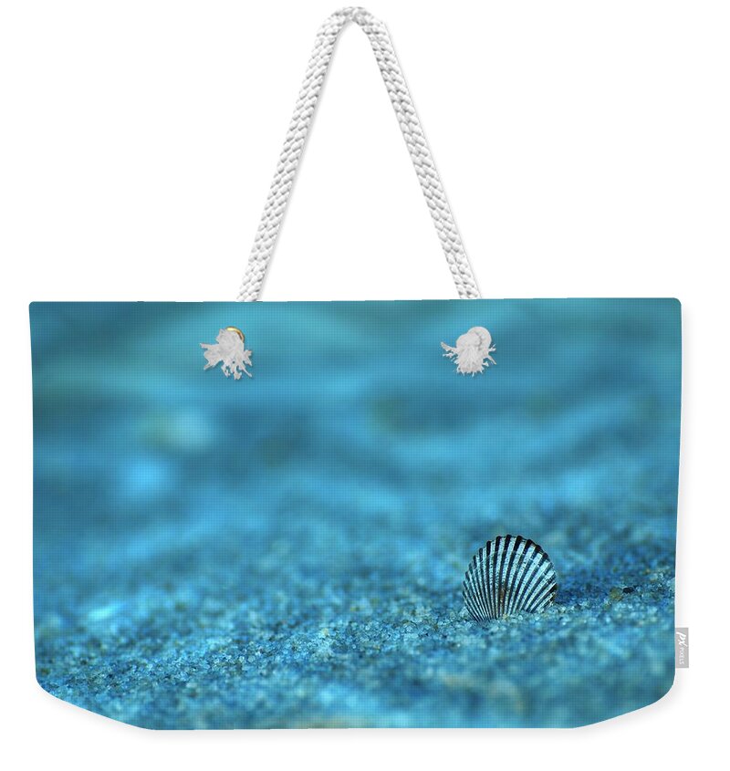 Seashells Weekender Tote Bag featuring the photograph Underwater Seashell - Jersey Shore by Angie Tirado