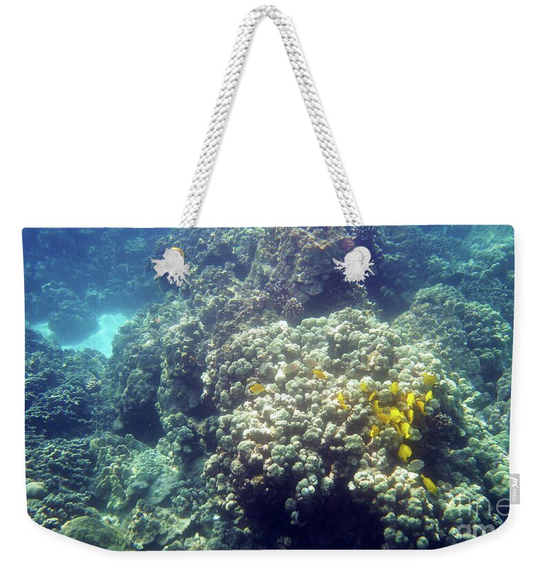 Underwater Weekender Tote Bag featuring the photograph Underwater World 2 by Karen Nicholson