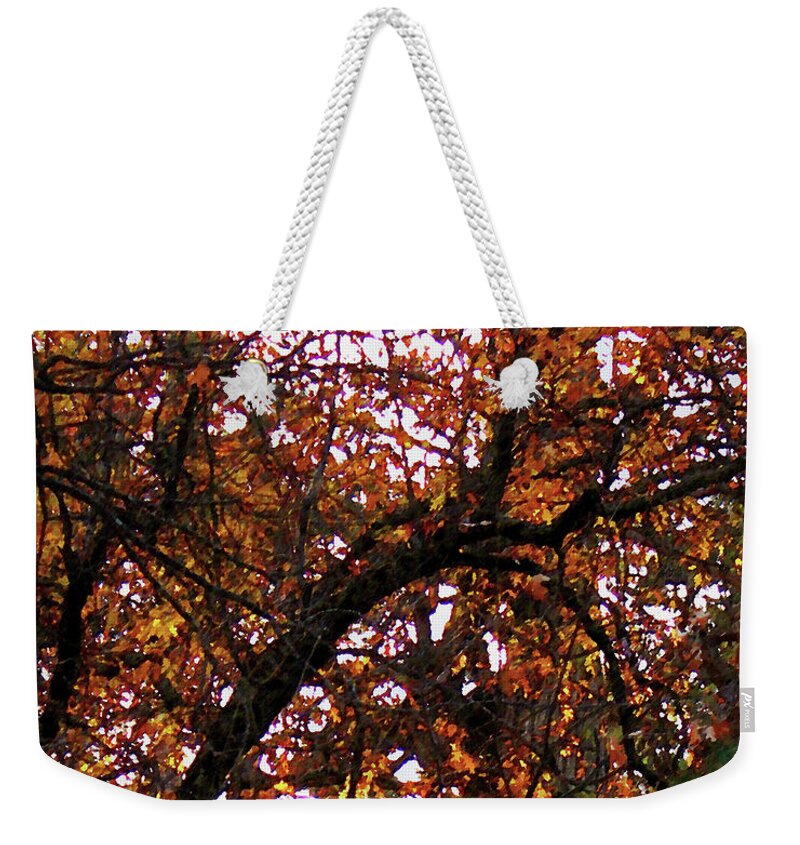 Leaves Weekender Tote Bag featuring the photograph Unfallen by Timothy Bulone