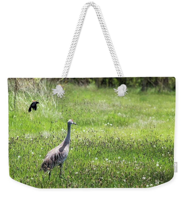 Sandhill Crane Weekender Tote Bag featuring the photograph Unfazed by Belinda Greb