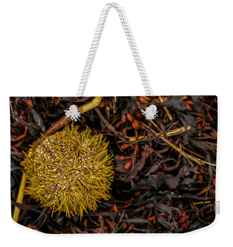 Sea Urchin Weekender Tote Bag featuring the photograph Uni by Holly Ross