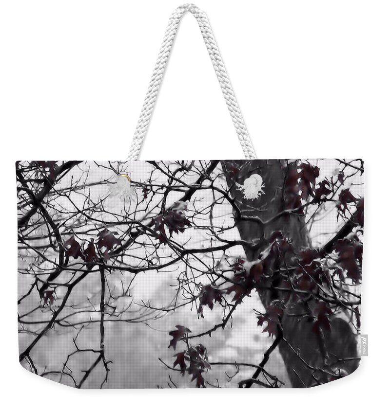 Oak Leaves Weekender Tote Bag featuring the photograph Until The Last Leaf Falls by Roxy Riou