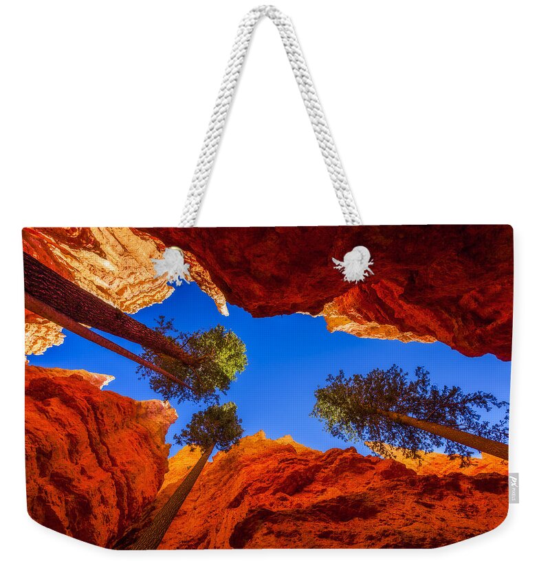 Up From Wall Street Weekender Tote Bag featuring the photograph Up From Wall Street by Chad Dutson