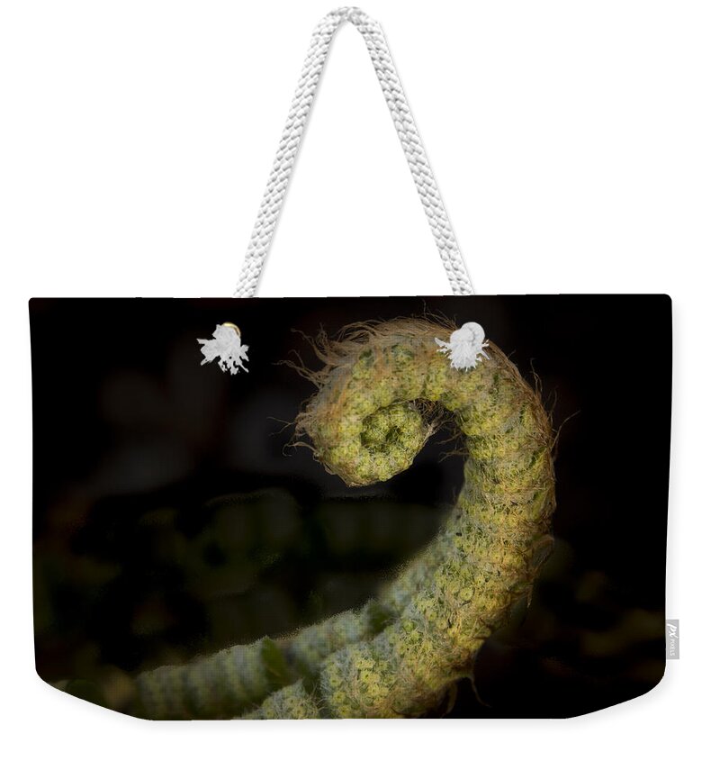 Jean Noren Weekender Tote Bag featuring the photograph Upbending Fiddlehead by Jean Noren