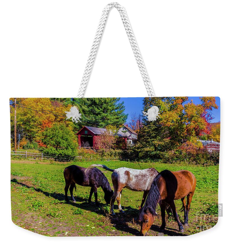 Upper Cox Brook Covered Bridge Weekender Tote Bag featuring the photograph Upper Cox Brook Covered Bridge by Scenic Vermont Photography