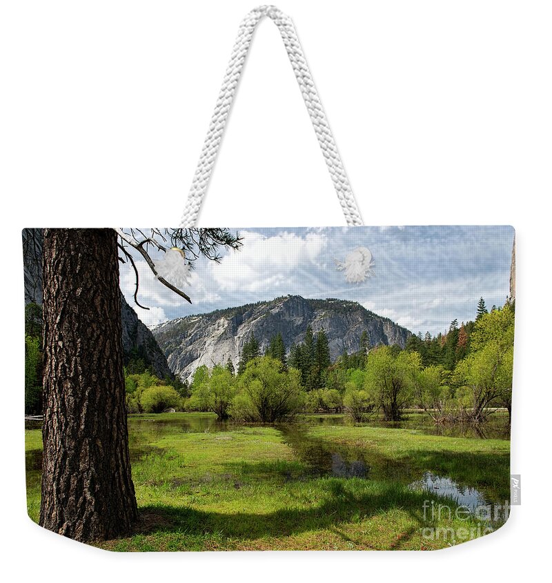 Meadow Weekender Tote Bag featuring the photograph Upper Meadow Mirror Lake by David Arment