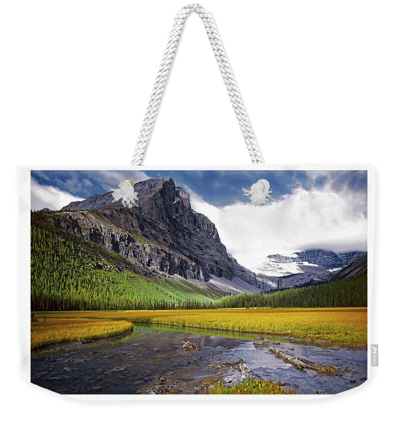 The Walkers Weekender Tote Bag featuring the photograph User Friendly by The Walkers