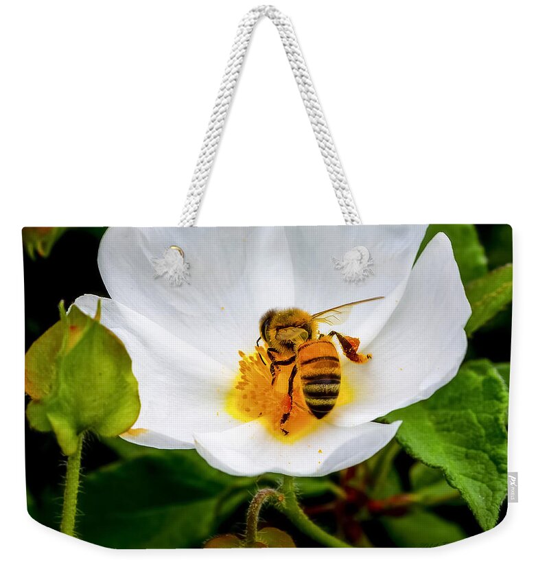 Honeybee Weekender Tote Bag featuring the photograph Vacaville Honey Bee by Brian Tada