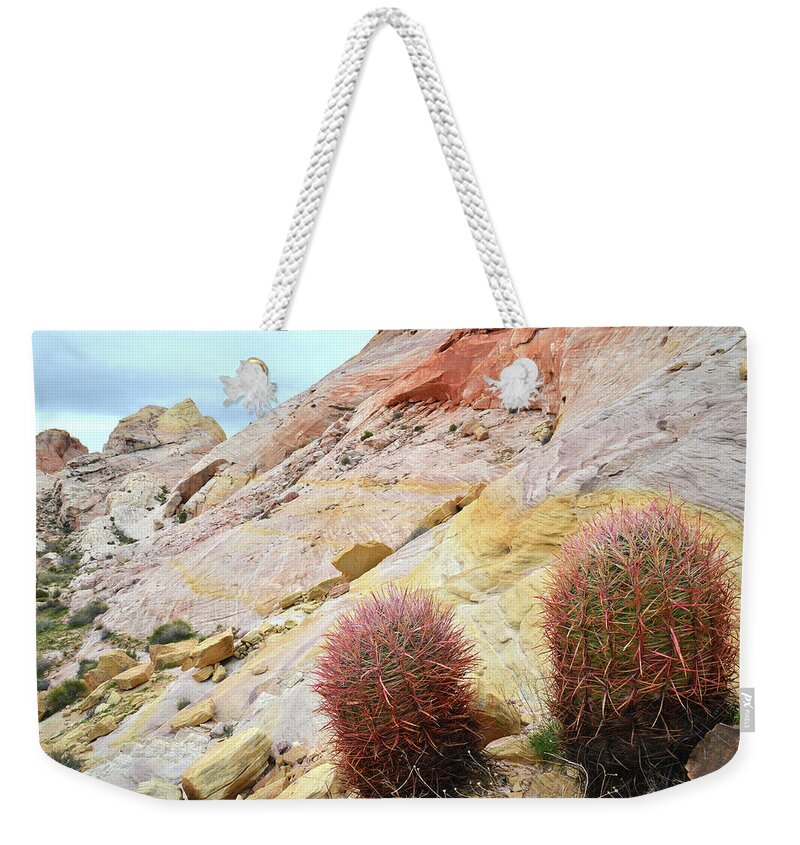 Valley Of Fire State Park Weekender Tote Bag featuring the photograph Valley of Fire Barrel Cactus by Ray Mathis