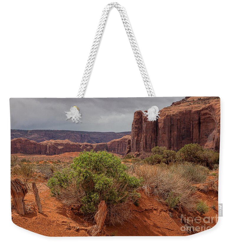 Monument Valley Print Weekender Tote Bag featuring the photograph Valley of God by Jim Garrison