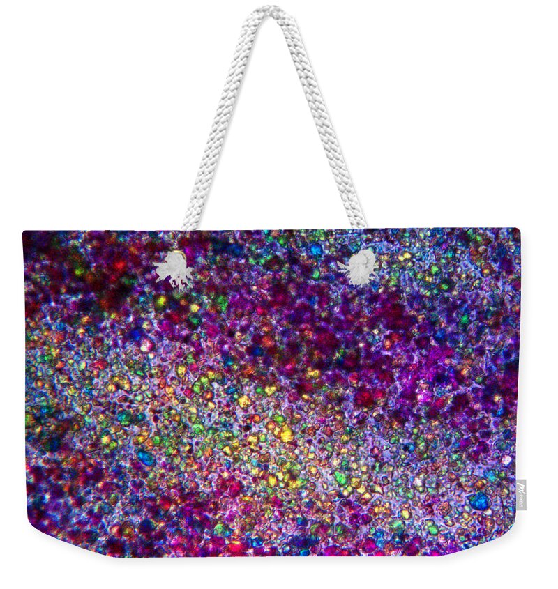  Weekender Tote Bag featuring the photograph Veins of Color by Rein Nomm