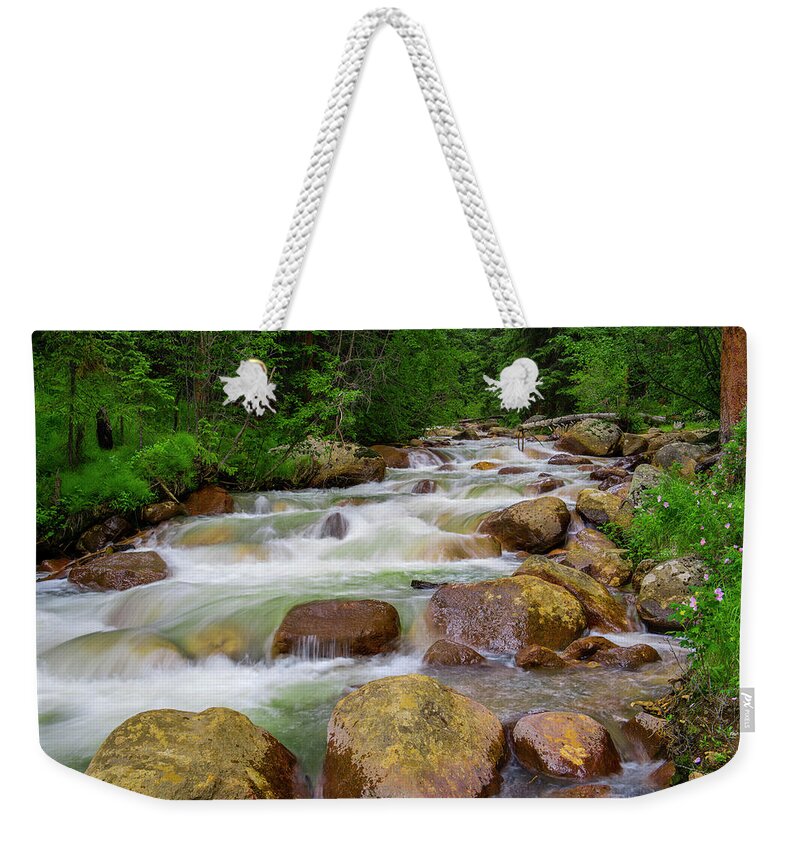 Forest Weekender Tote Bag featuring the photograph Velvet Green Forest by Tim Reaves