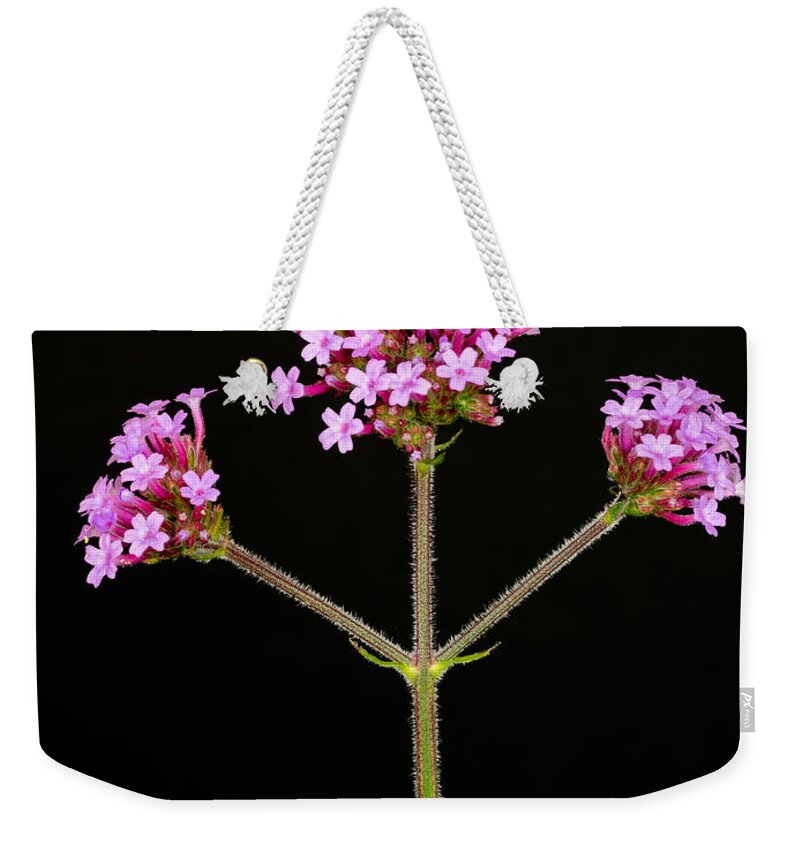 Pink Weekender Tote Bag featuring the photograph Verbena by Mark Llewellyn