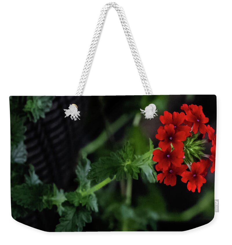 Flower Weekender Tote Bag featuring the digital art Verbena peruviana by Ed Stines