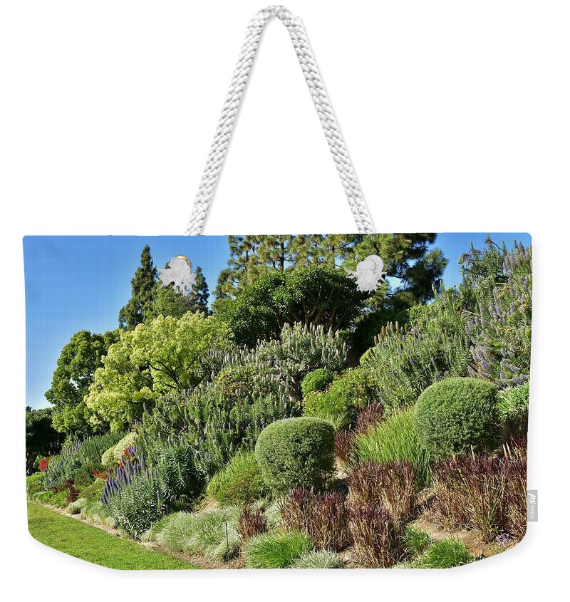 Linda Brody Weekender Tote Bag featuring the photograph Veronica spicata Royal Candles II by Linda Brody