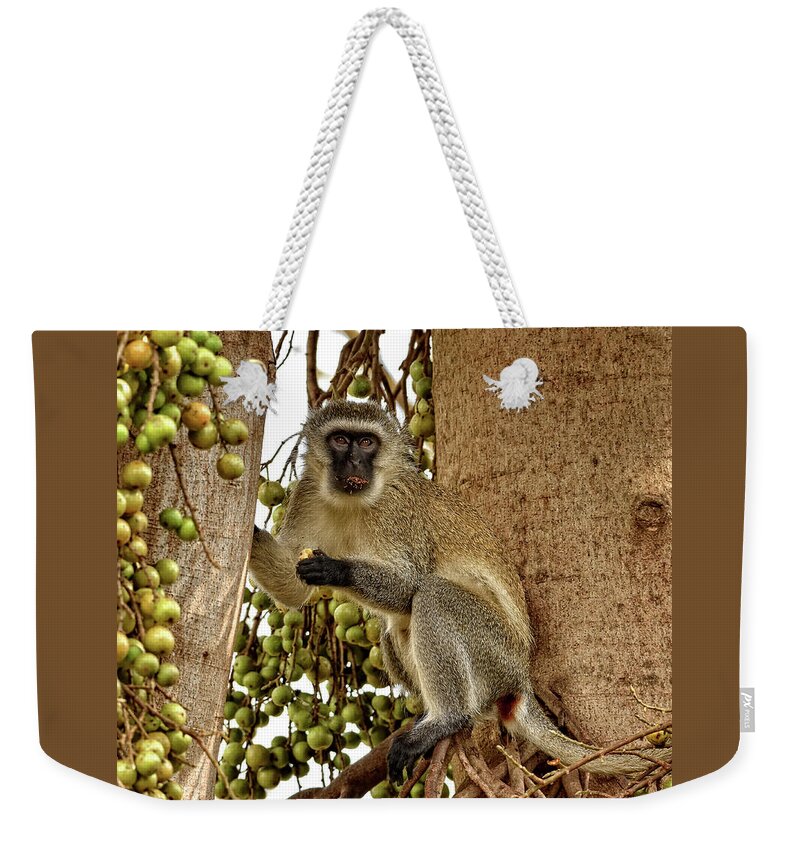 Africa Weekender Tote Bag featuring the photograph Vervet Monkey by Mitchell R Grosky