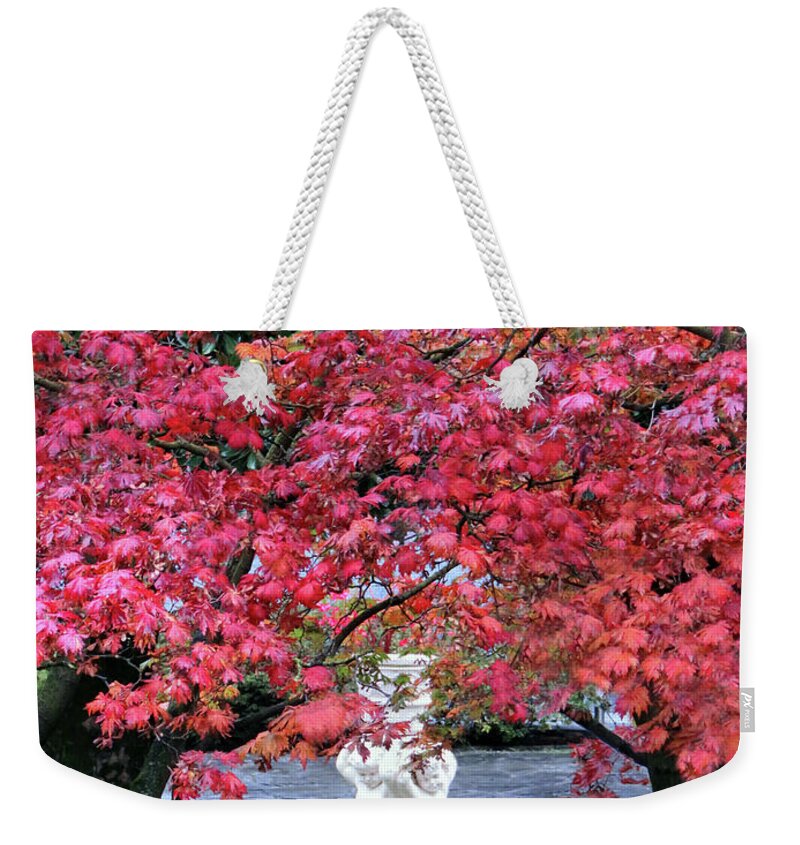 Lenno Weekender Tote Bag featuring the photograph Vibrant Autunno Italiano by Jennie Breeze