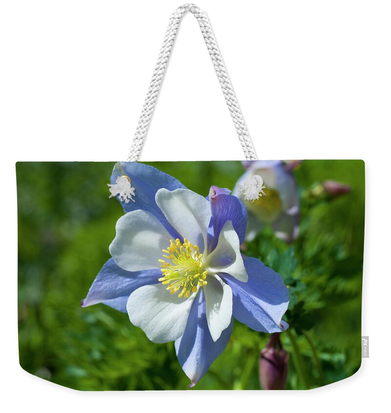 Colorado Weekender Tote Bag featuring the photograph Vibrant Columbine by Julia McHugh