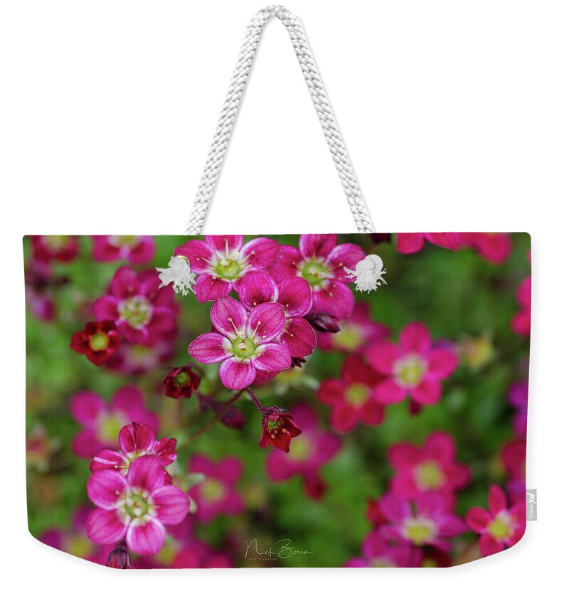 Vibrant Weekender Tote Bag featuring the photograph Vibrant Floral by Nick Boren