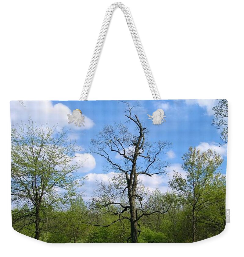 Landscape Weekender Tote Bag featuring the photograph Vibrant Individualism by Dylan Punke