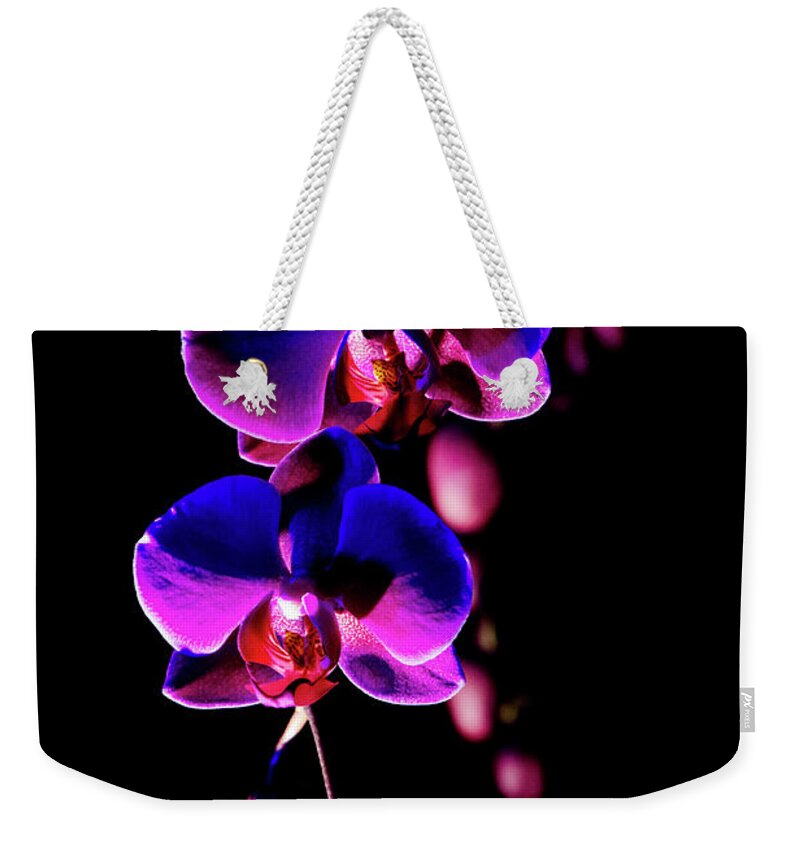 Decorative Weekender Tote Bag featuring the photograph Vibrant Orchids by Ann Bridges